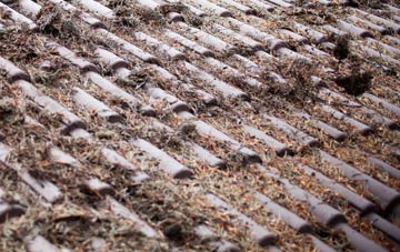 Pontneddfechan roof cleaning companies